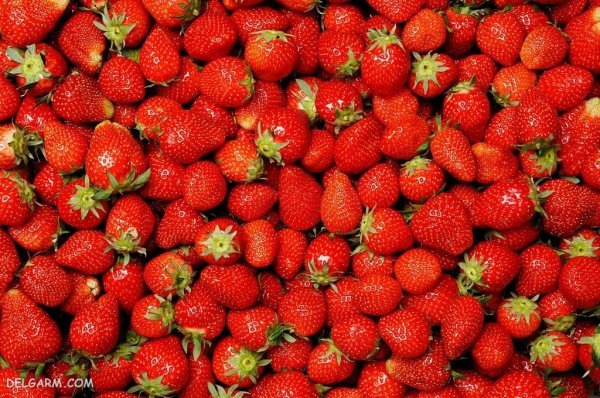  عکس توت فرنگی برای بک گراند با کیفیت بالا