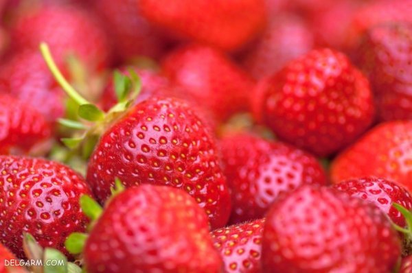  عکس توت فرنگی برای بک گراند با کیفیت بالا