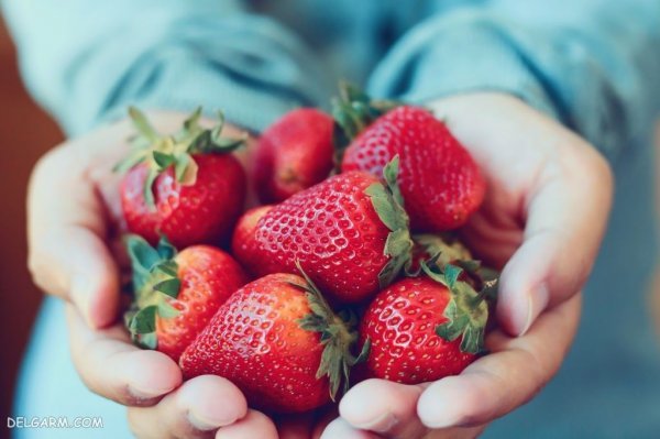  عکس توت فرنگی برای بک گراند با کیفیت بالا