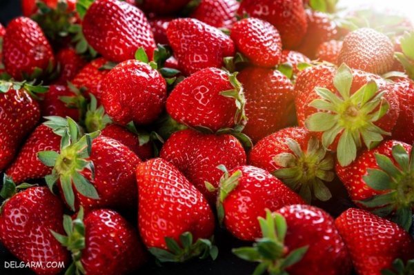  عکس توت فرنگی برای بک گراند با کیفیت بالا