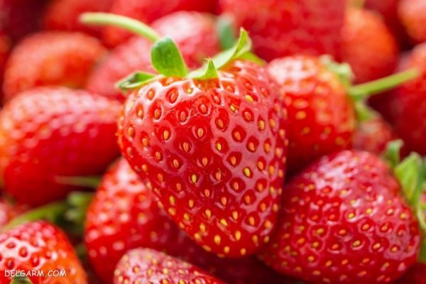  عکس توت فرنگی برای بک گراند با کیفیت بالا