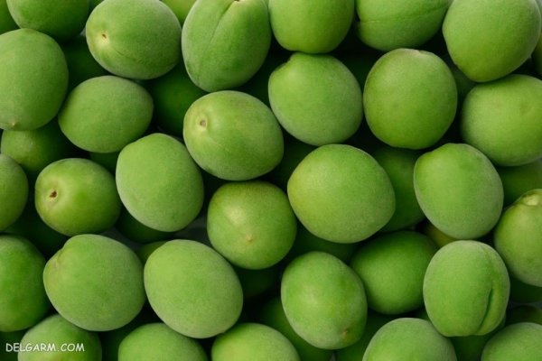  عکس گوجه سبز برای پروفایل با کیفیت بالا