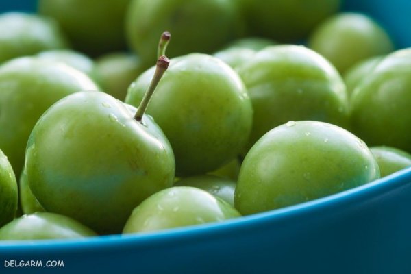  عکس گوجه سبز برای پروفایل با کیفیت بالا