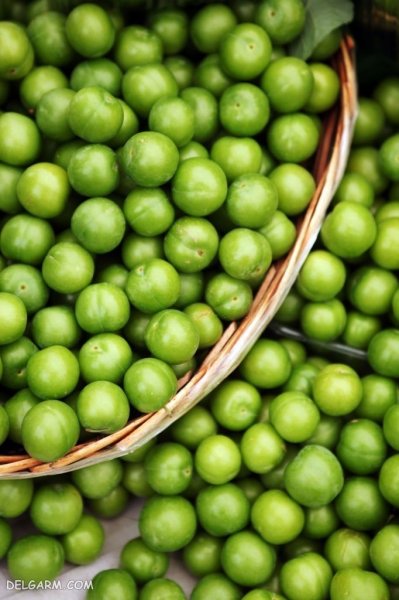  عکس گوجه سبز برای پروفایل با کیفیت بالا