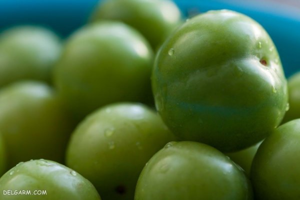  عکس گوجه سبز برای پروفایل با کیفیت بالا