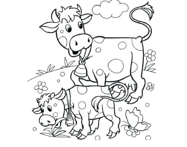  عکس گاو نقاشی