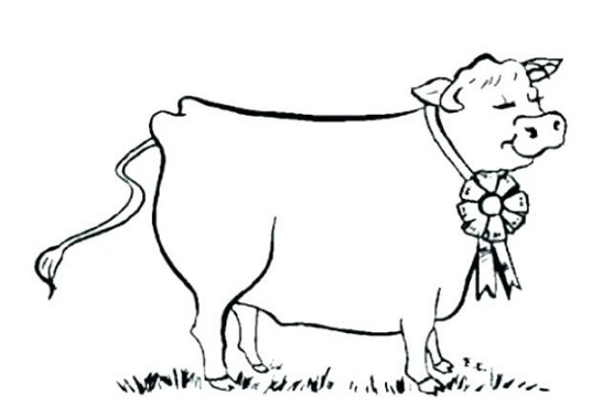  عکس گاو نقاشی