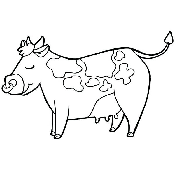  عکس نقاشی گاو آسان