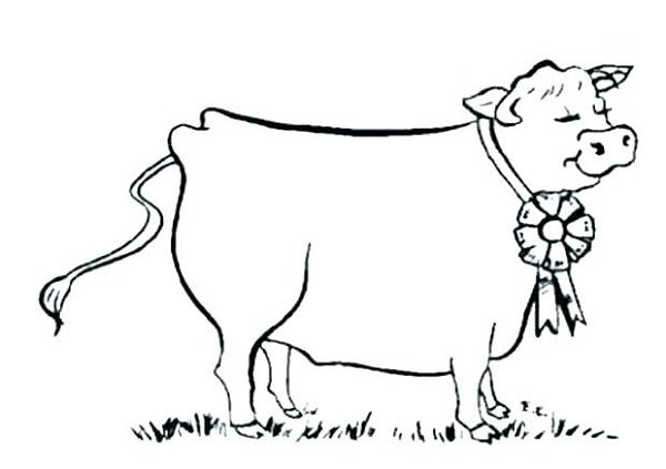  عکس نقاشی گاو آسان