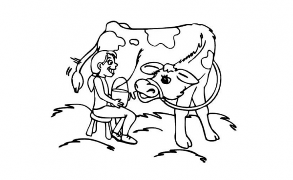  عکس نقاشی گاو زیبا