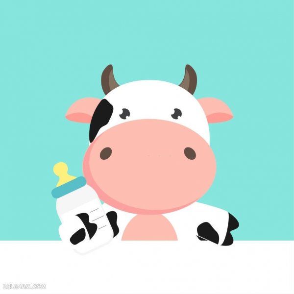  عکس نقاشی گاو زیبا