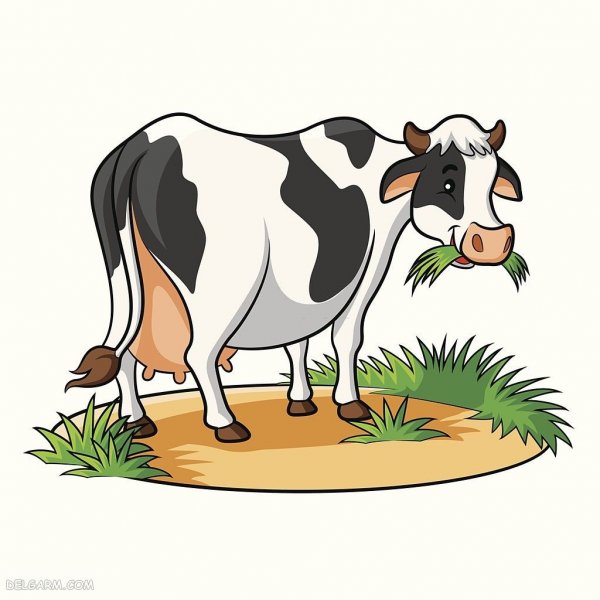  عکس نقاشی گاو دخترانه