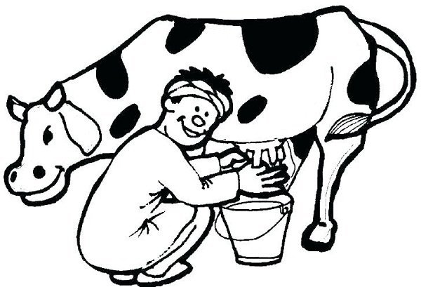  عکس نقاشی گاو دخترانه