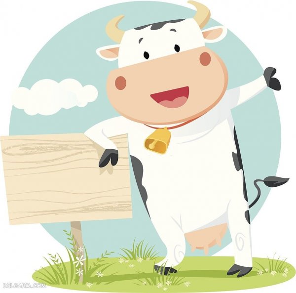  عکس نقاشی گاو در مزرعه