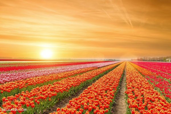  زیباترین عکس طبیعت بهاری واقعی