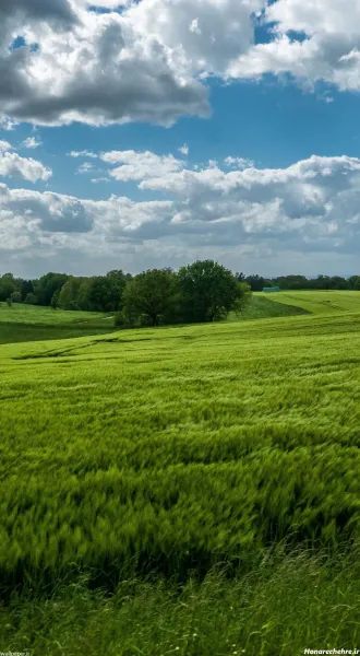  عکس طبیعت آرامش‌بخش 4K