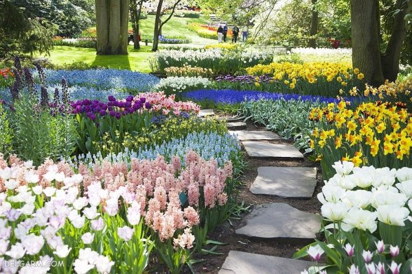 عکس فصل بهار برای پروفایل با کیفیت بالا
