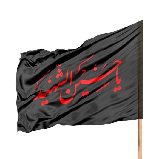  عکس پروفایل یا حسین شهید