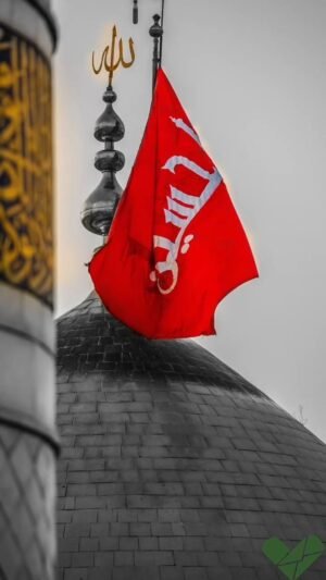  عکس محرم برای پروفایل واتساپ