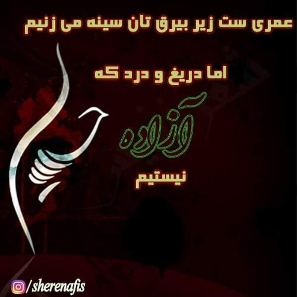 عکس کربلا و بین‌الحرمین با کیفیت بالا