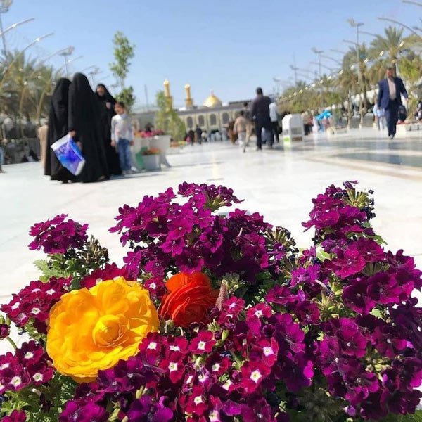  عکس کربلا و بین‌الحرمین با کیفیت بالا