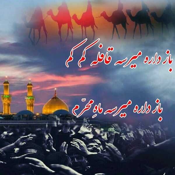  عکس کربلا و بین‌الحرمین با کیفیت بالا