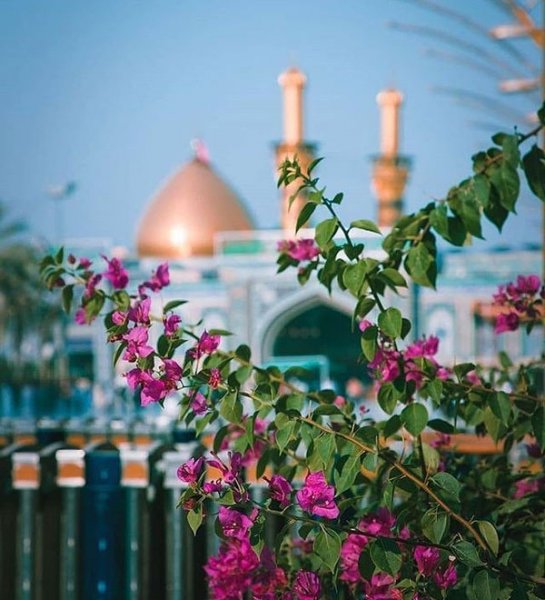  عکس کربلا و بین‌الحرمین با کیفیت بالا