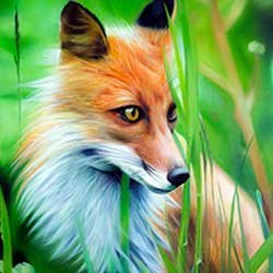  مدل نقاشی رنگ روغن حرفه ای