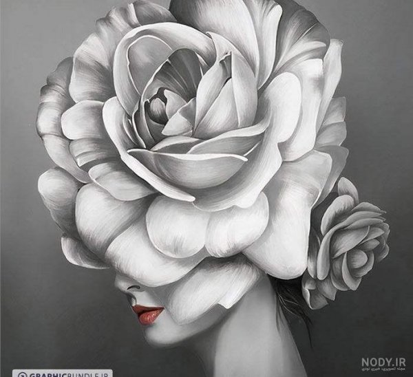 عکس گل رز واقعی