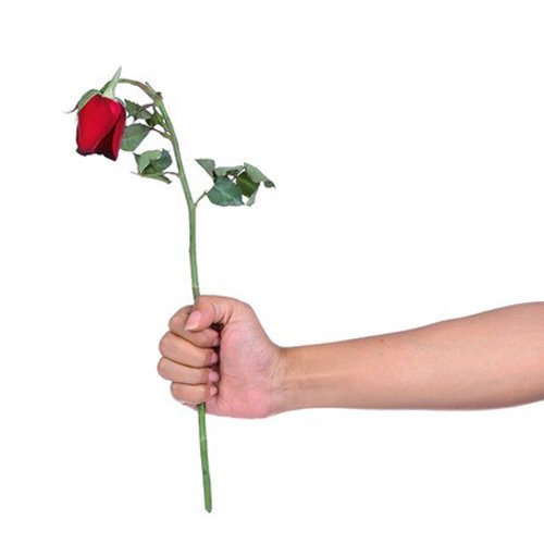  عکس گل سیاه غمگین