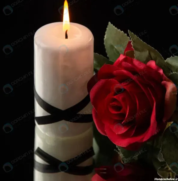 عکس گل رز مشکی با شمع