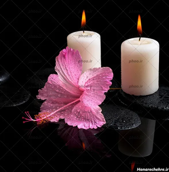 عکس گل رز مشکی با شمع