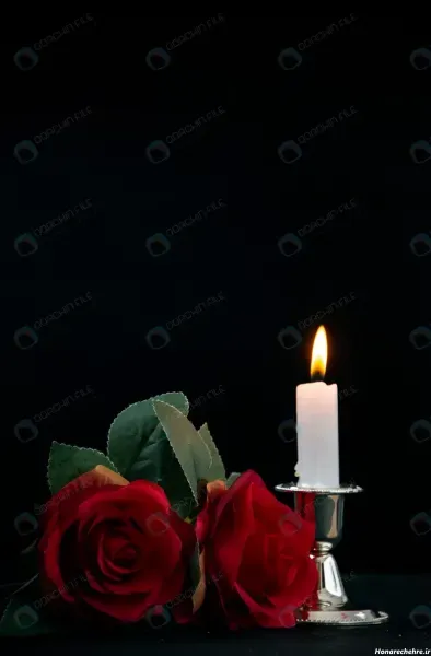 عکس گل رز مشکی با شمع