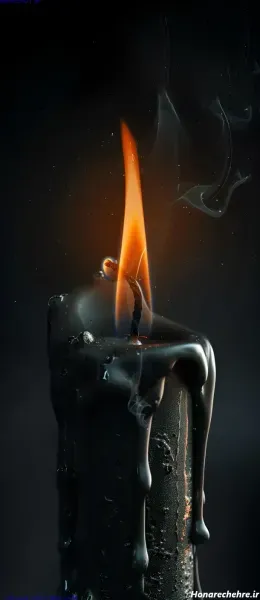 عکس گل رز مشکی با شمع