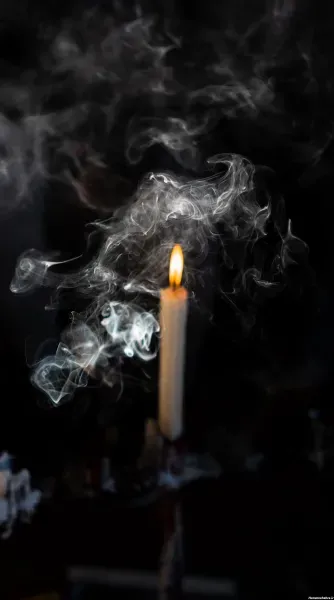 عکس گل رز مشکی با شمع