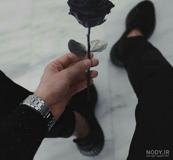 عکس گل رز مشکی طبیعی