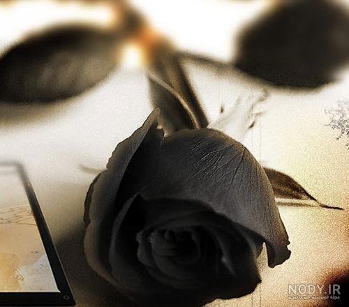 عکس شمع و گل مشکی برای پروفایل