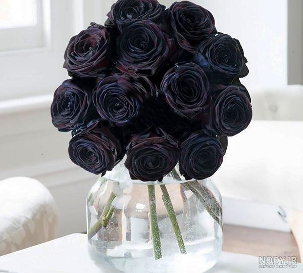 عکس شمع و گل مشکی برای پروفایل