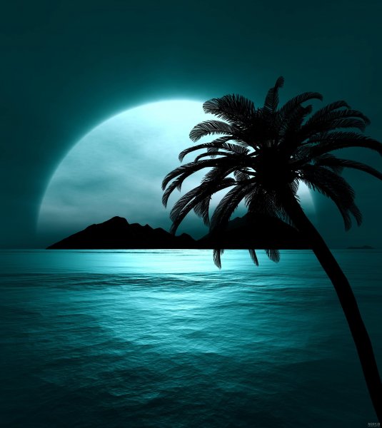زیباترین عکس منظره شب برای پروفایل