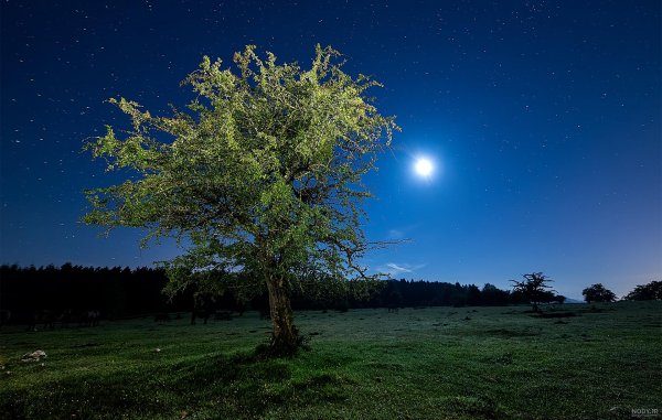 زیباترین عکس منظره شب برای پروفایل
