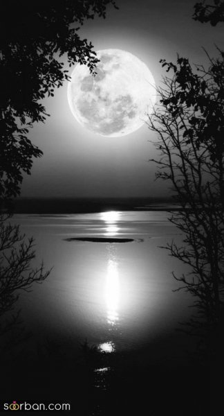 عکس شب طبیعی