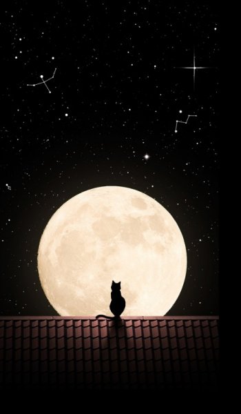 عکس آسمان شب با کیفیت بالا