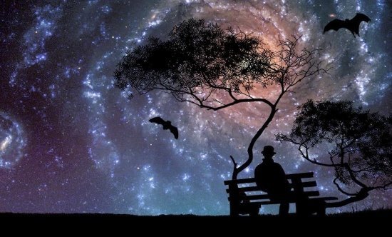  عکس شب برای استوری