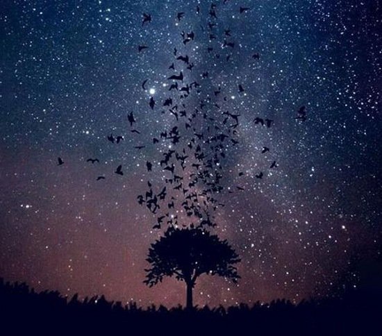  عکس شب برای استوری