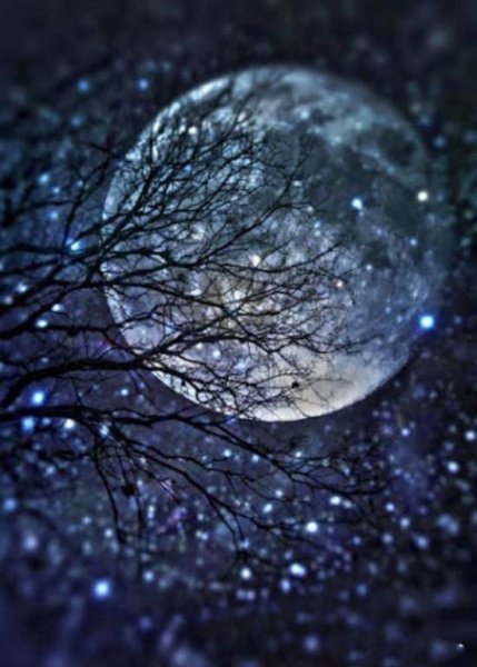  عکس شب برای استوری