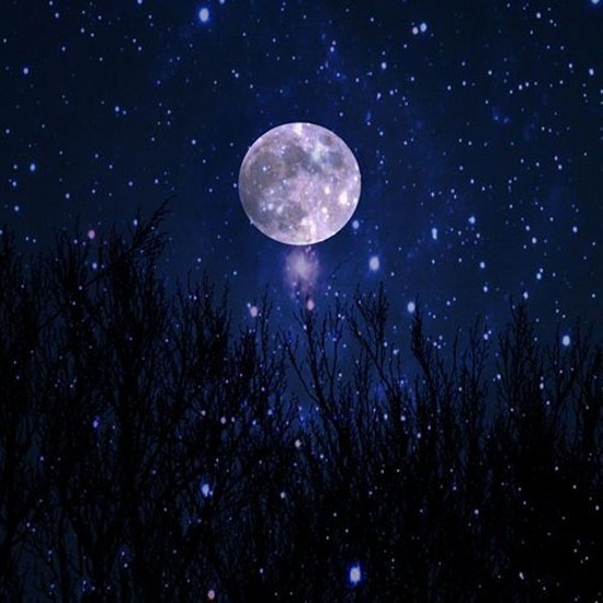  عکس شب برای استوری
