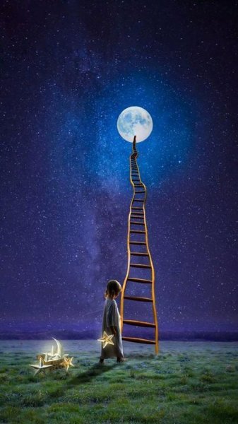  عکس شب برای استوری