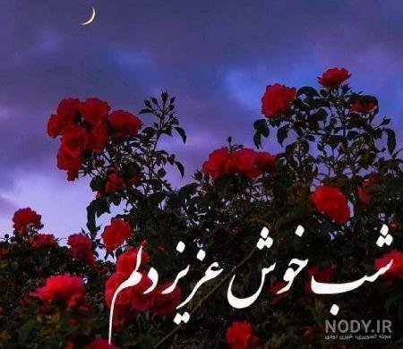 عکس شب بخیر بدون متن