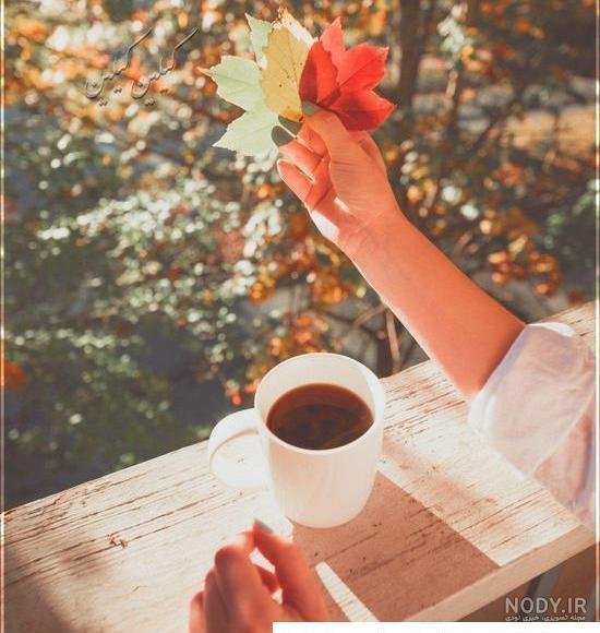  عکس شب بخیر بدون متن