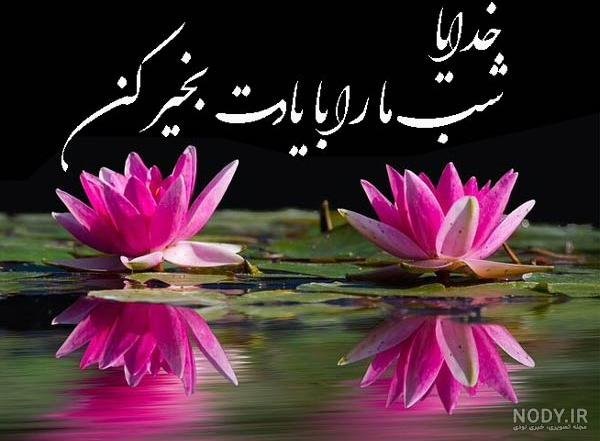 عکس شب بخیر برای کانال
